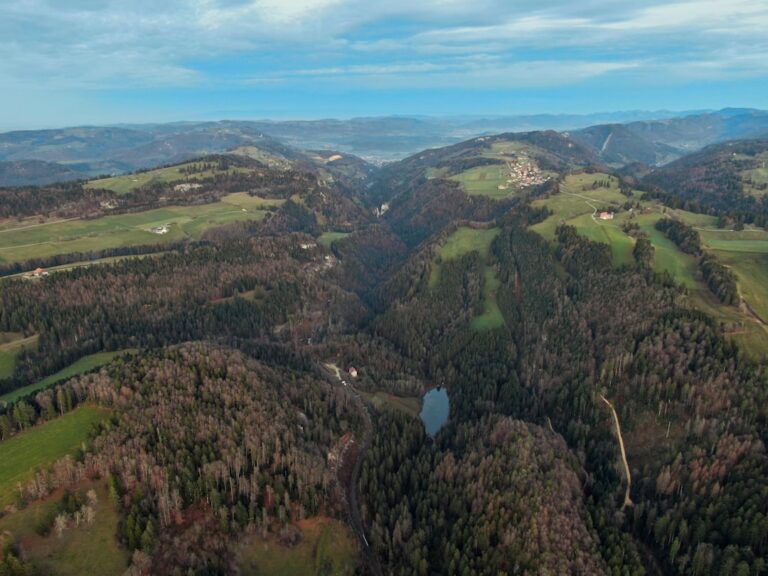 Die Rolle politischer Parteien in der Schweiz